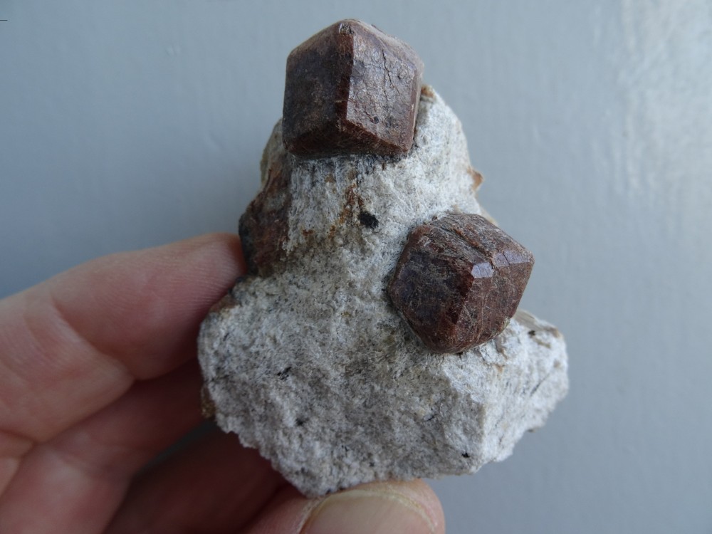 Grenat Cassagnes jpg.jpg