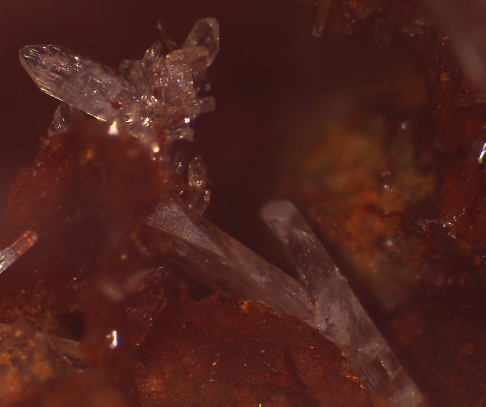 La Boule 31x23 s10.jpg