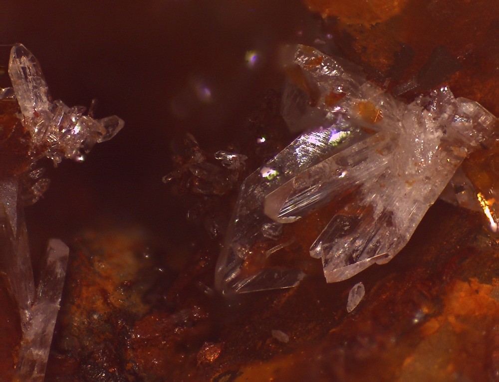 La Boule 44x33 S22.jpg