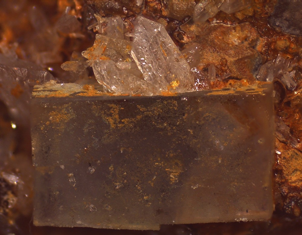 La Boule 69x51 S18.jpg