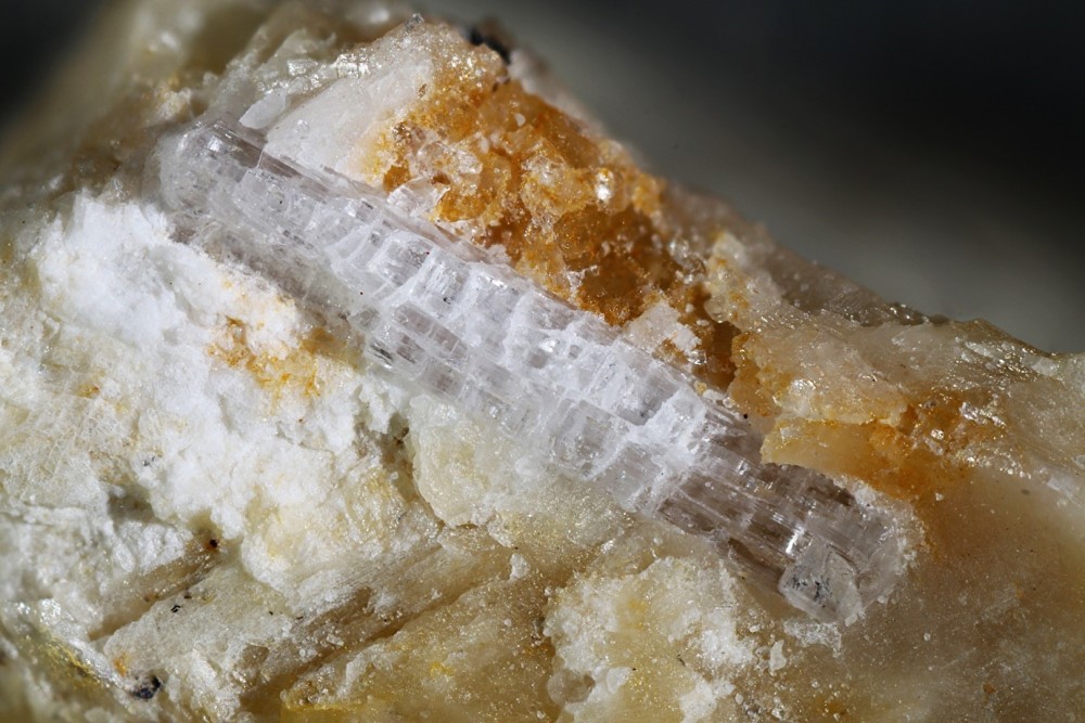 Marialite Miglos FOV 11 mm 005.jpg