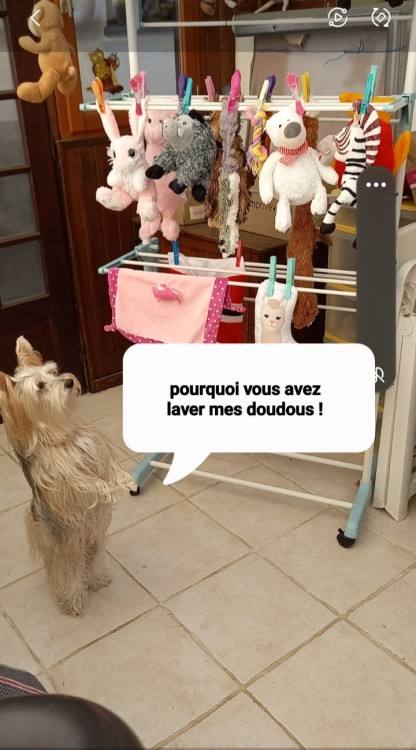 Screenshot_20231231_171228_Gallery (1).jpg