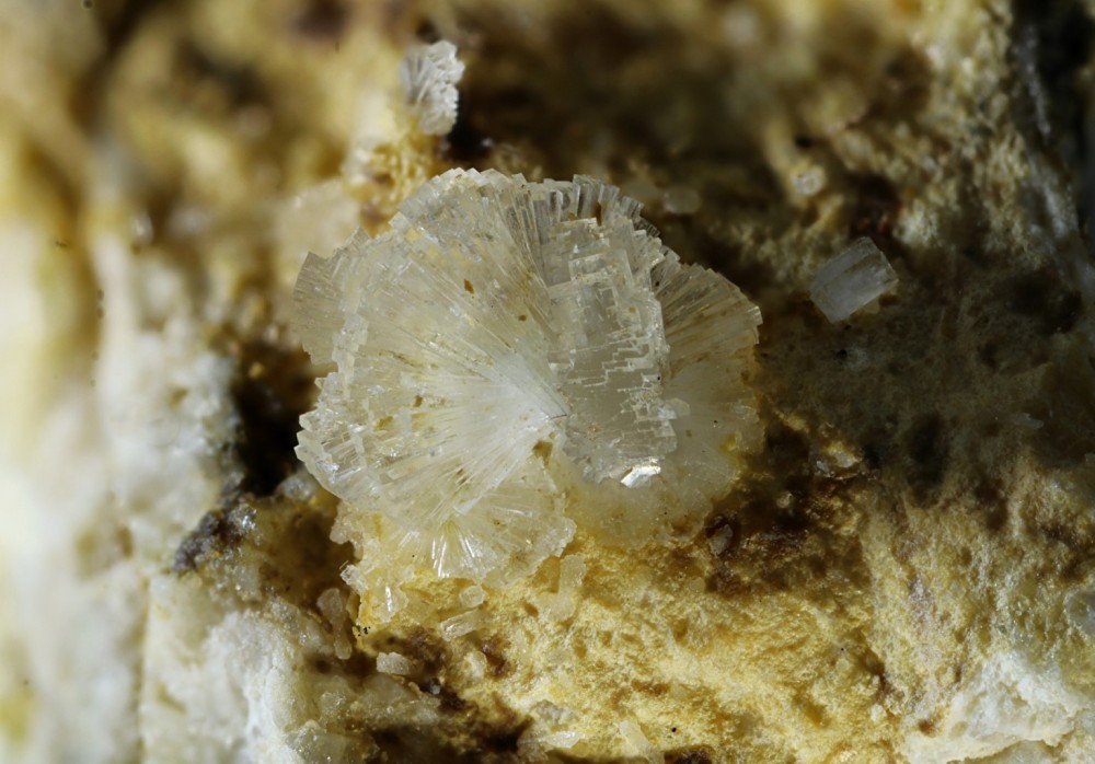 Stellerite Allens FOV 15 mm 019.jpg