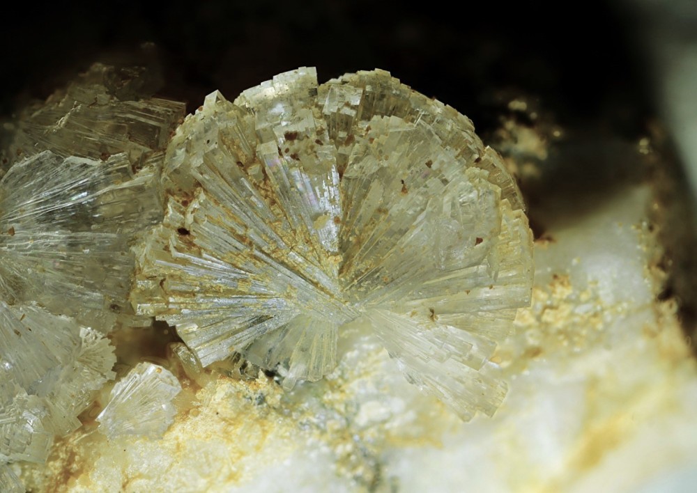 Stellerite Allens FOV 17 mm 018.jpg