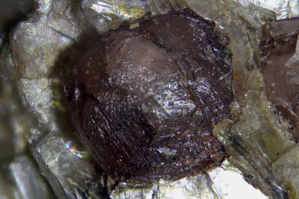 009-1283-01 Almandine - Col du Canadel (Var - France) - FOV 1.67mm.jpg