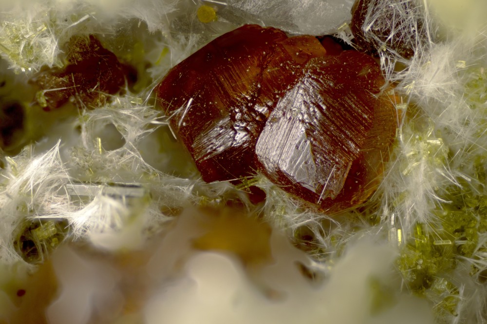 013-446-05 Andradite - Le Dramont (Var - France) - FOV 4.06 mm.jpg