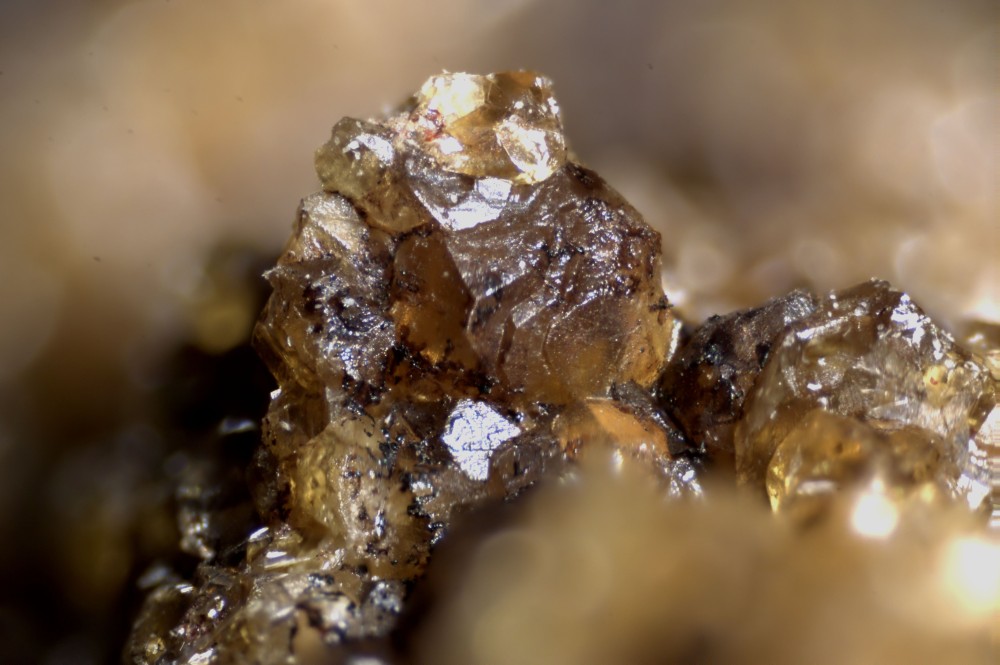 013-650-04 -Andradite - Les Ferrières (Var - France) - FOV 3.71 mm.jpg