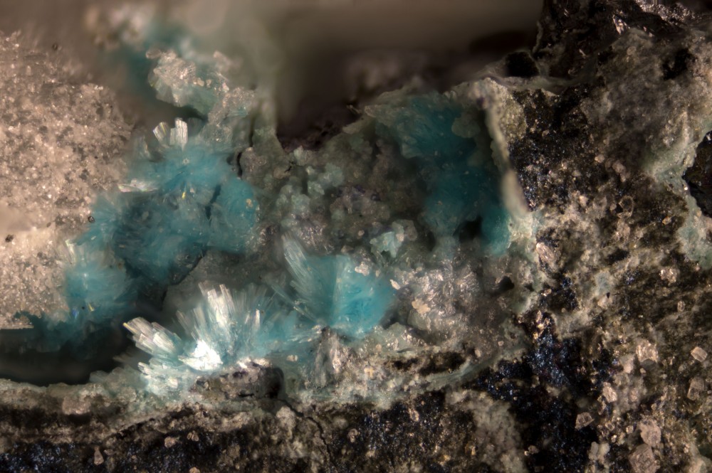 029-487-08Aurichalcite-LesCedres(Grad-France)-FOV2_19mm.thumb.jpg.7408582257f68c55a949b3ba053b404a.jpg