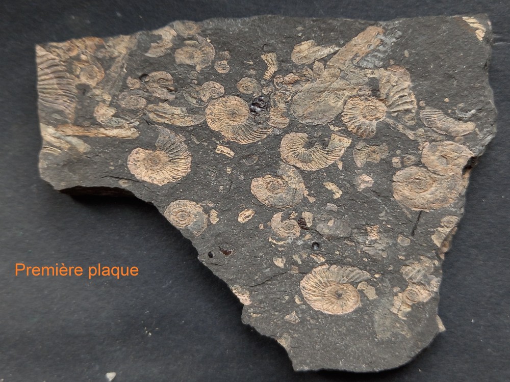 20230824_130809 - Copie.jpg