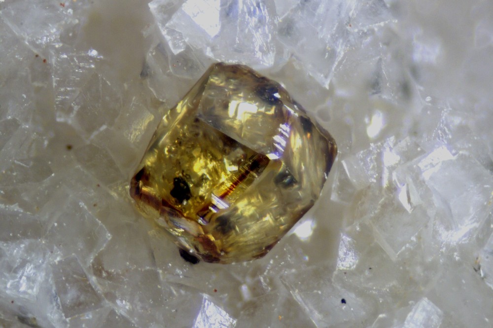 228-487-16Sphalerite-LesCdres(Gard-France)-FOV1_17mm.thumb.jpg.39643d68bf64681e67febbb3095092c9.jpg