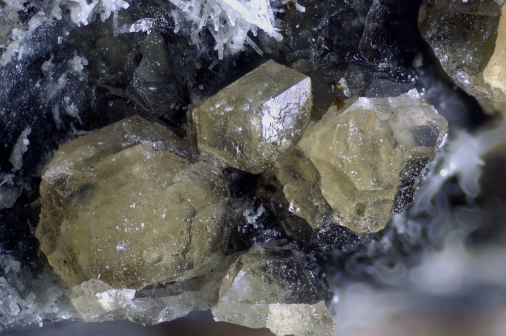 377-490-17 Garnet grp - Saint Veran(Hautes Alpes - France) - FOV 4.32 mm.jpg