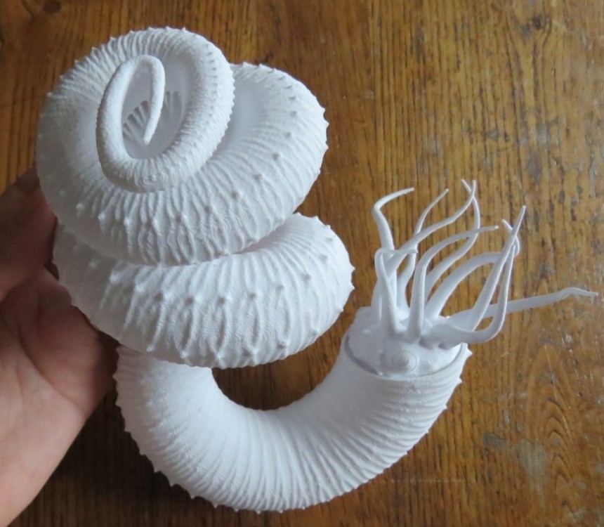 Capture d’écran 2024-05-11 131546.jpg