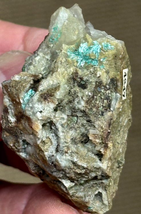 Capture d’écran 2024-05-01 à 02.22.42.png