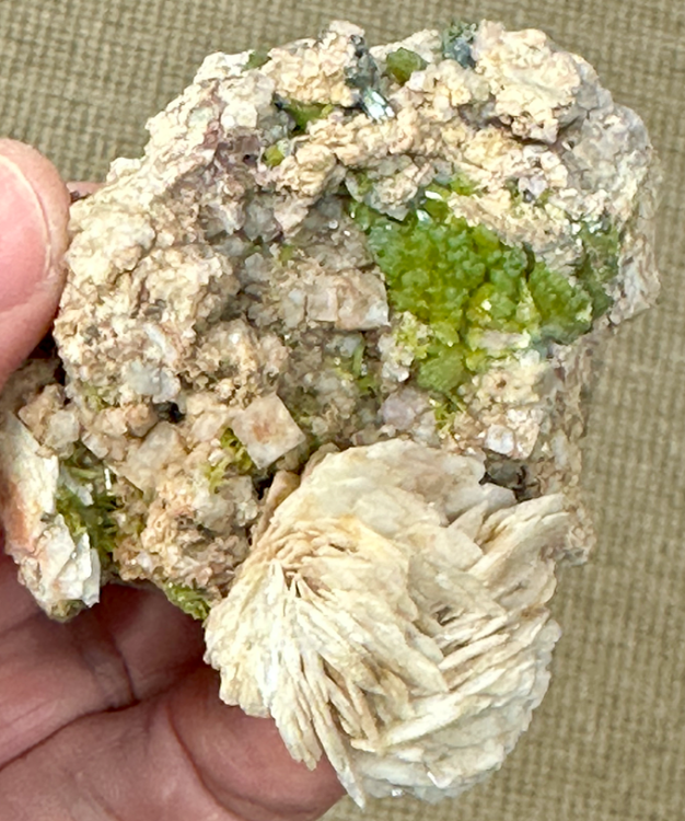 Capture d’écran 2024-05-02 à 15.25.46.png