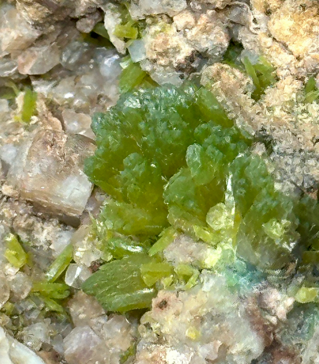 Capture d’écran 2024-05-02 à 15.26.06.png