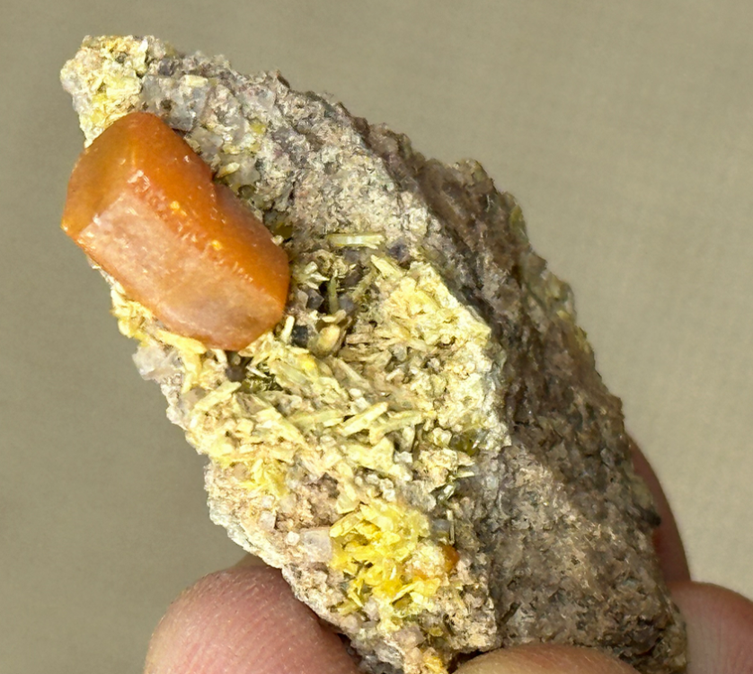 Capture d’écran 2024-05-03 à 22.26.00.png