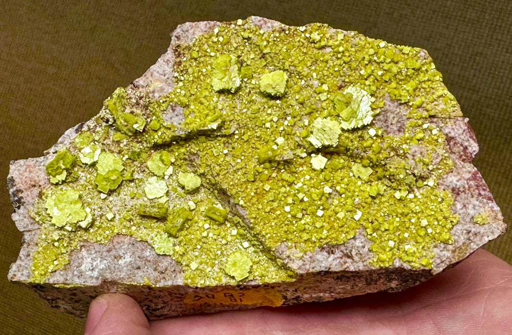 Capture d’écran 2024-05-05 à 08.25.33.png