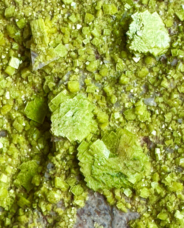 Capture d’écran 2024-05-05 à 08.25.59.png