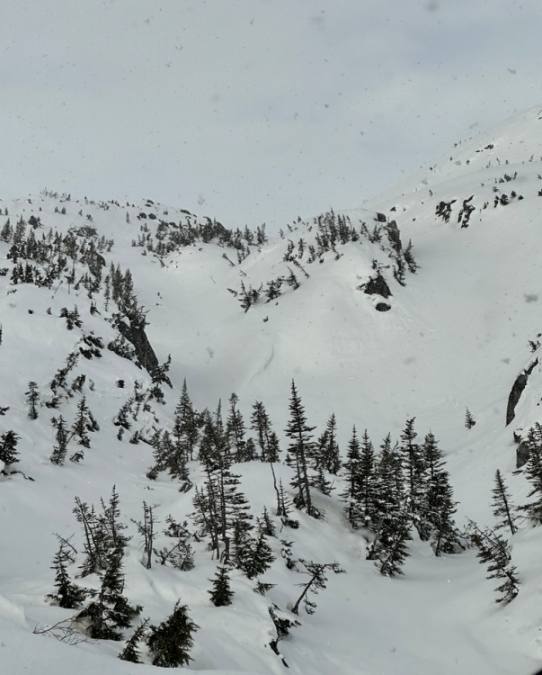 Capture d’écran 2024-05-05 à 08.31.25.png