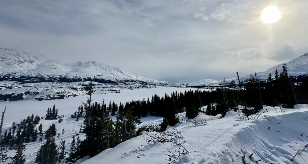 Capture d’écran 2024-05-05 à 08.31.47.png