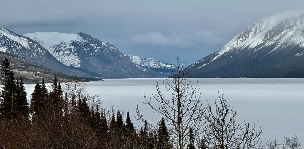 Capture d’écran 2024-05-05 à 08.32.16.png