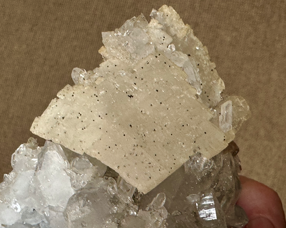 Capture d’écran 2024-05-07 à 23.00.24.png