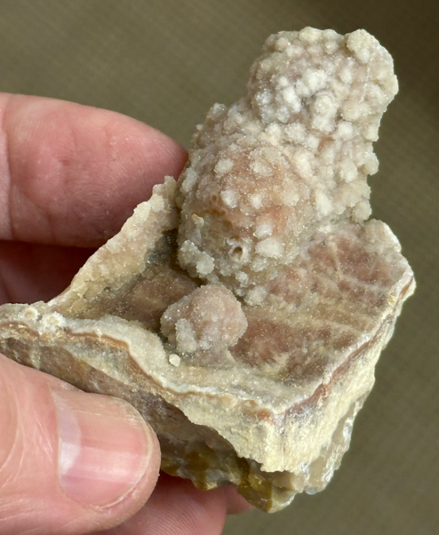 Capture d’écran 2024-05-08 à 12.41.19.png