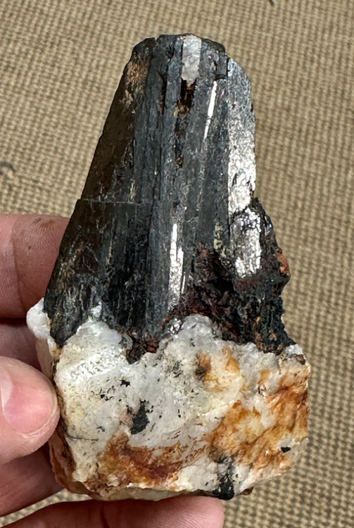 Capture d’écran 2024-05-20 à 01.13.24.png