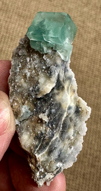 Capture d’écran 2024-05-23 à 23.35.41.png