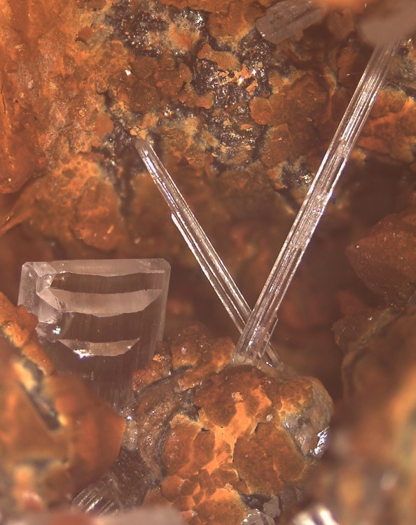 La Boule 108x82 s17.jpg