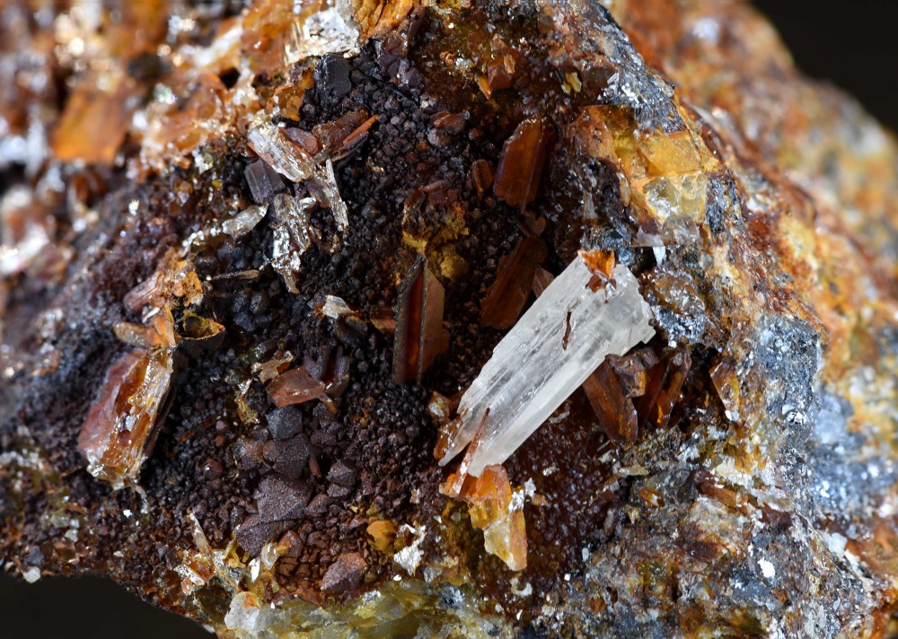 La Boule 2024 2  s5.jpg