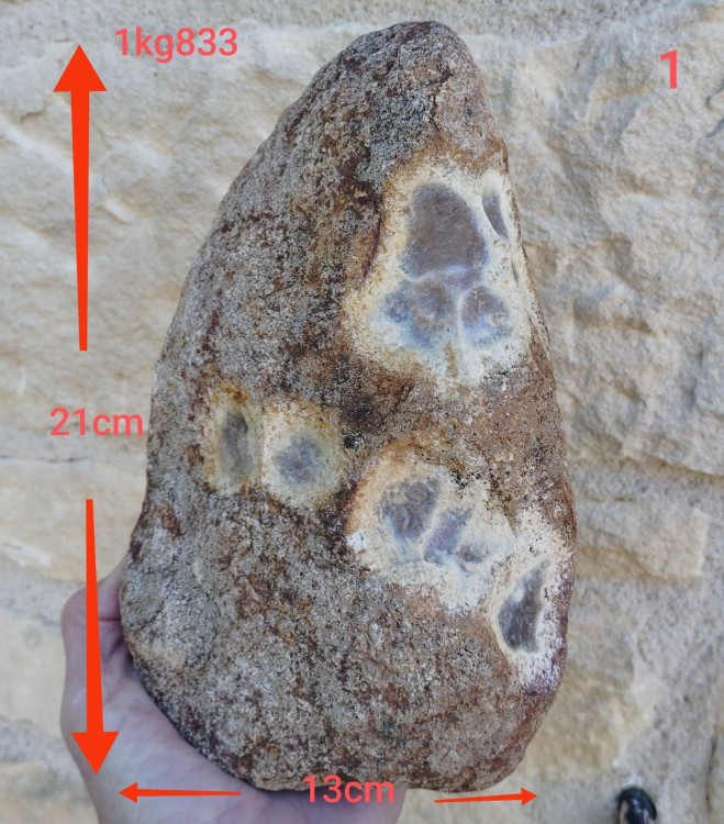 La combe des B.s.jpg