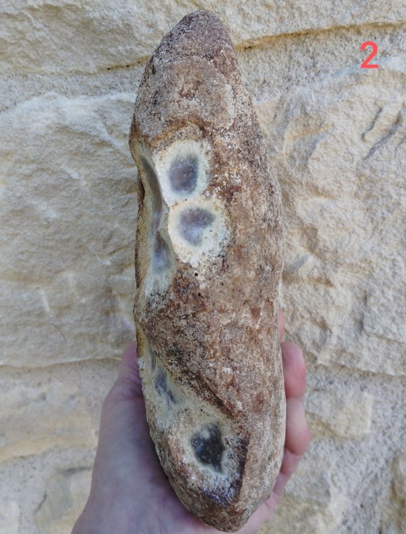 La combe des B.s 2.jpg