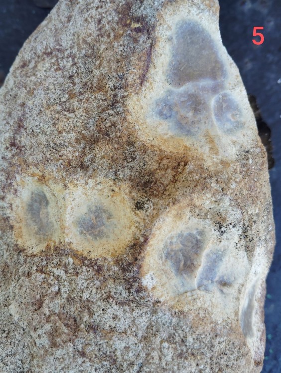 La combe des B.s 5.jpg