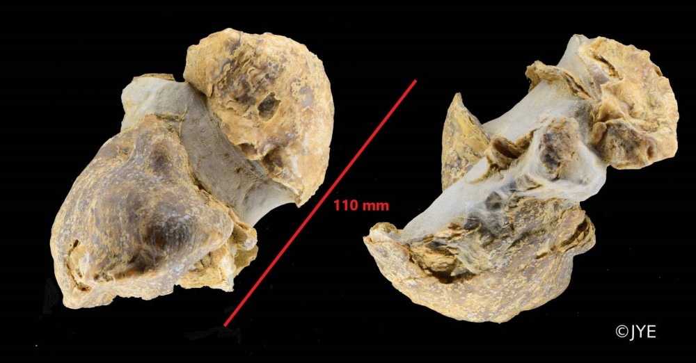 Nouveau projet-50 2.jpg