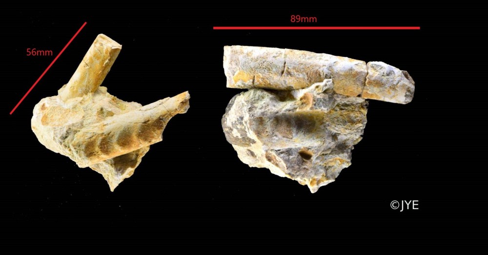 Nouveau projet-51.jpg