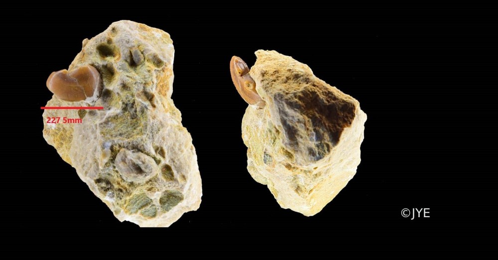 Nouveau projet-52.jpg