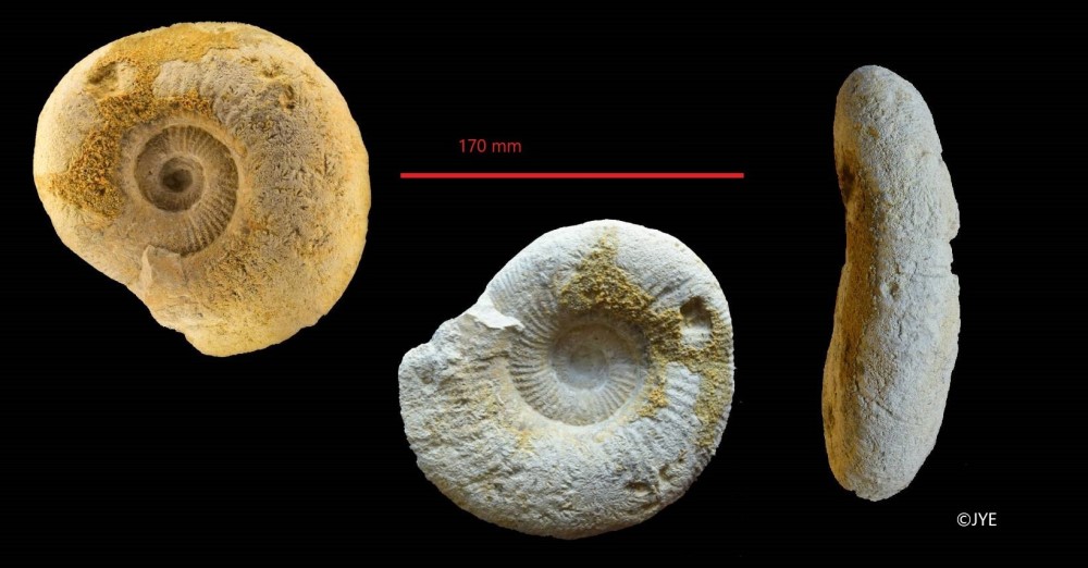 Nouveau projet-53.jpg