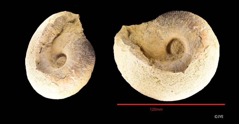 Nouveau projet-54.jpg