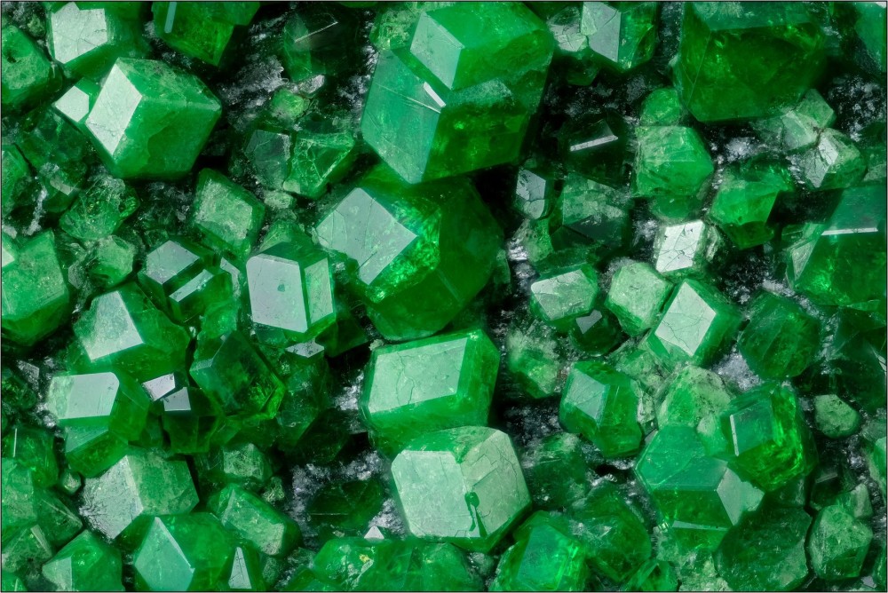 Uvarovite-Hfov3_7mm.thumb.jpg.eaa2a1e2f94927d4014a592f13d5e092.jpg