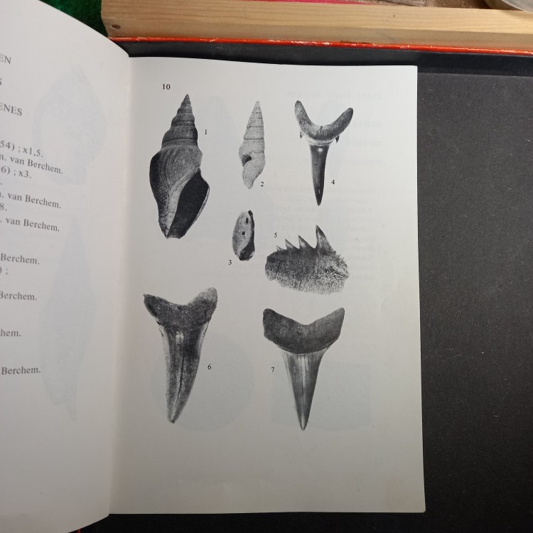 atlas_belgique (1).jpg