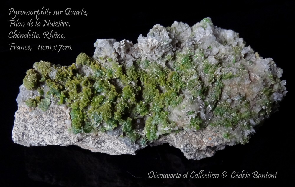 pyro nuiziere 11.jpg