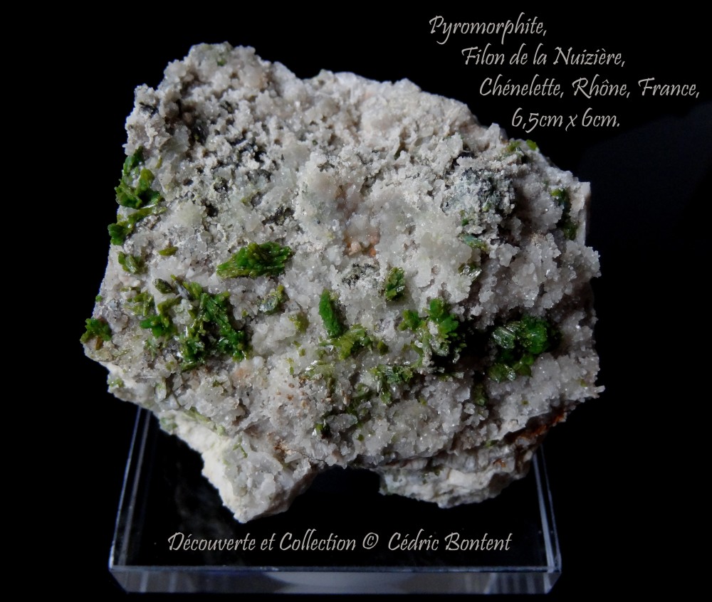 pyro nuiziere 13.jpg