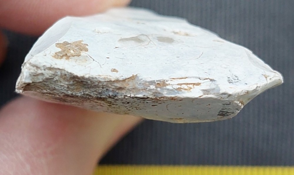 20240204_094654 (1024x608).jpg