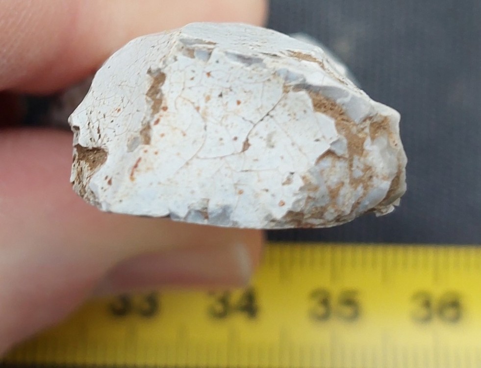 20240204_094703 (1024x783).jpg