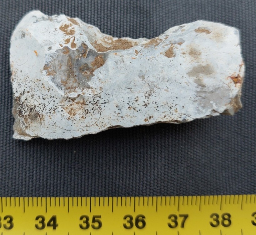 20240204_094711 (1024x938).jpg