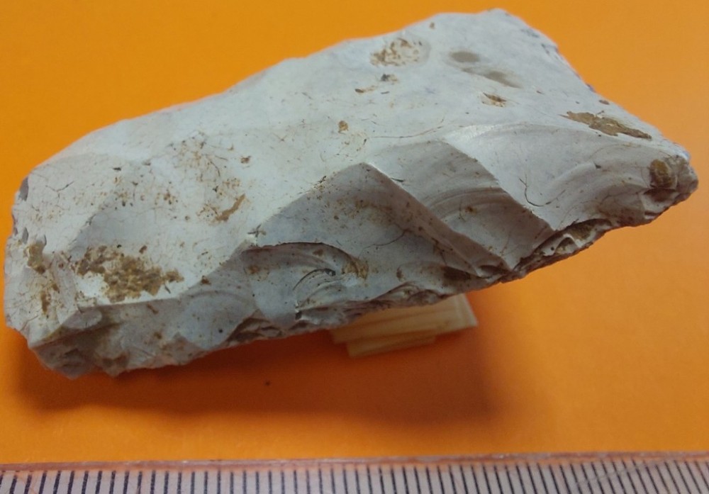 20240205_104530 (1024x713).jpg