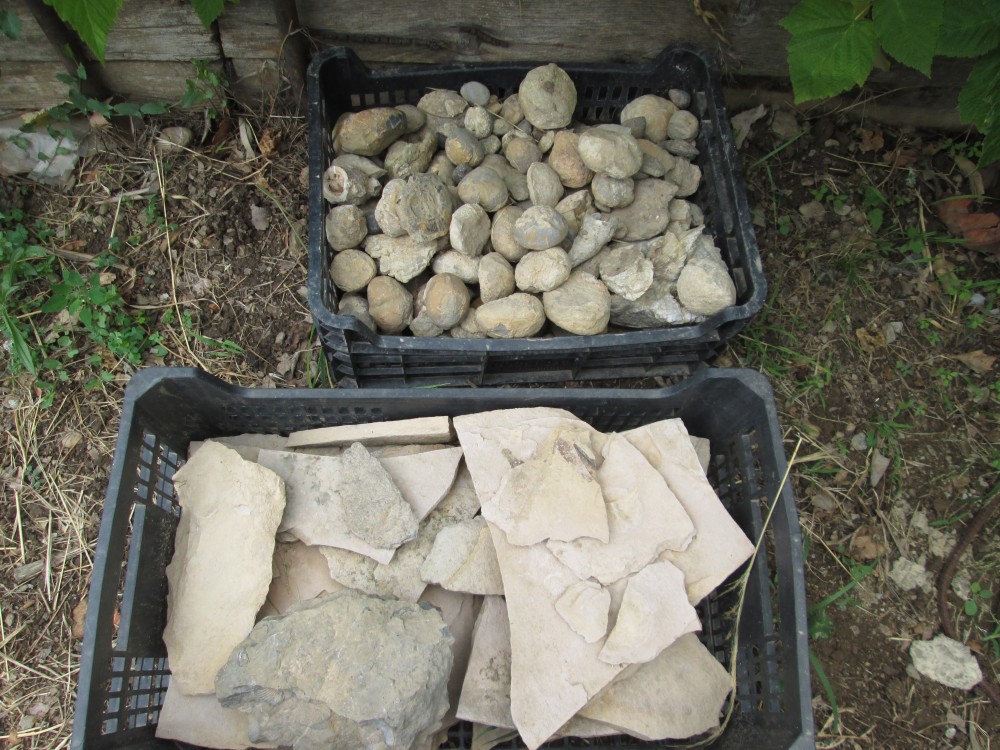 IMG_0003 - Copie.JPG