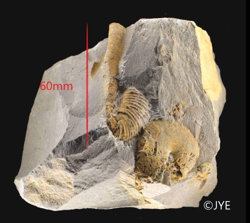 Nouveau projet-55.jpg