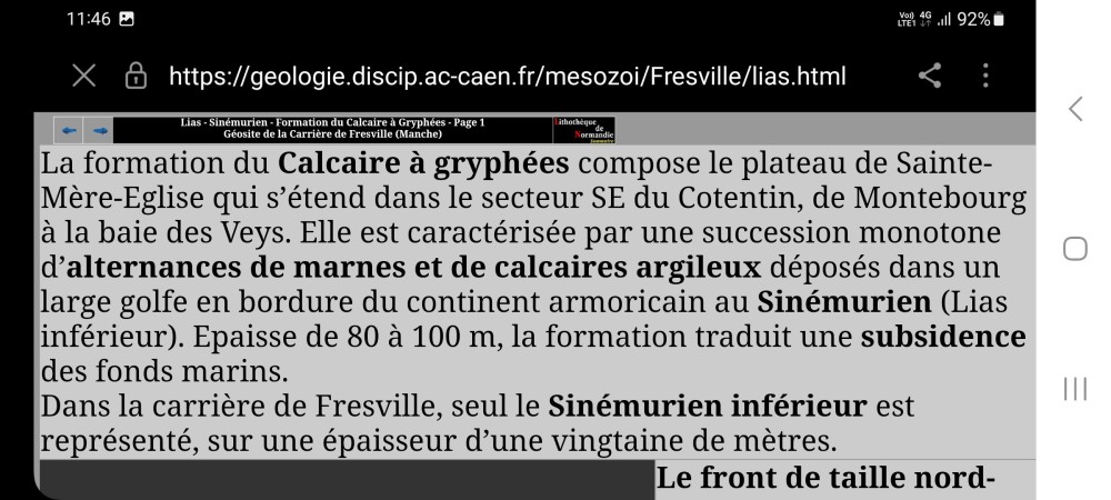 Screenshot_20240613_114620_Samsung Internet.jpg
